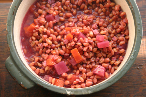 chickenspeltsoup chickenspeltsoup